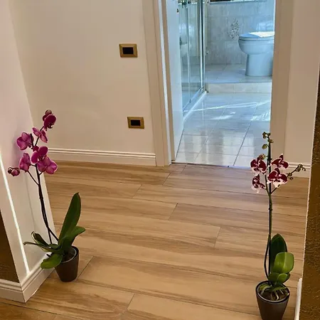 Maison d'hôtes Golden House Pise